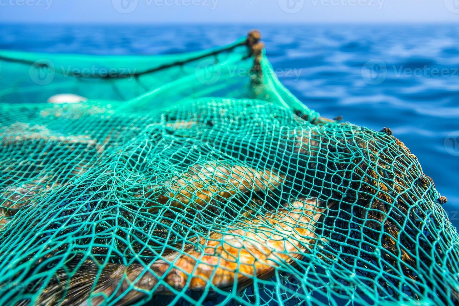 sustainable-management-with-fisher-fishing-net